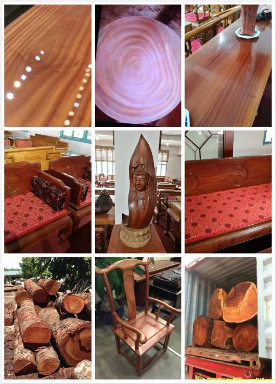 [] 鬣khaya),ľһоľһ