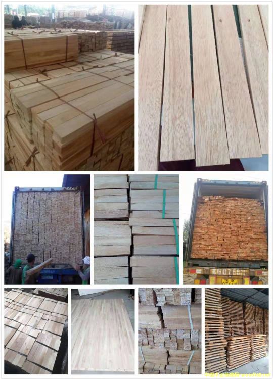 [] ľģRľalbizia falcata