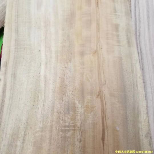 [] Mڴ~˼ľACACIA˼ľԭľ