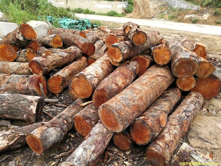 [] 鬣khaya),ľһоľһ