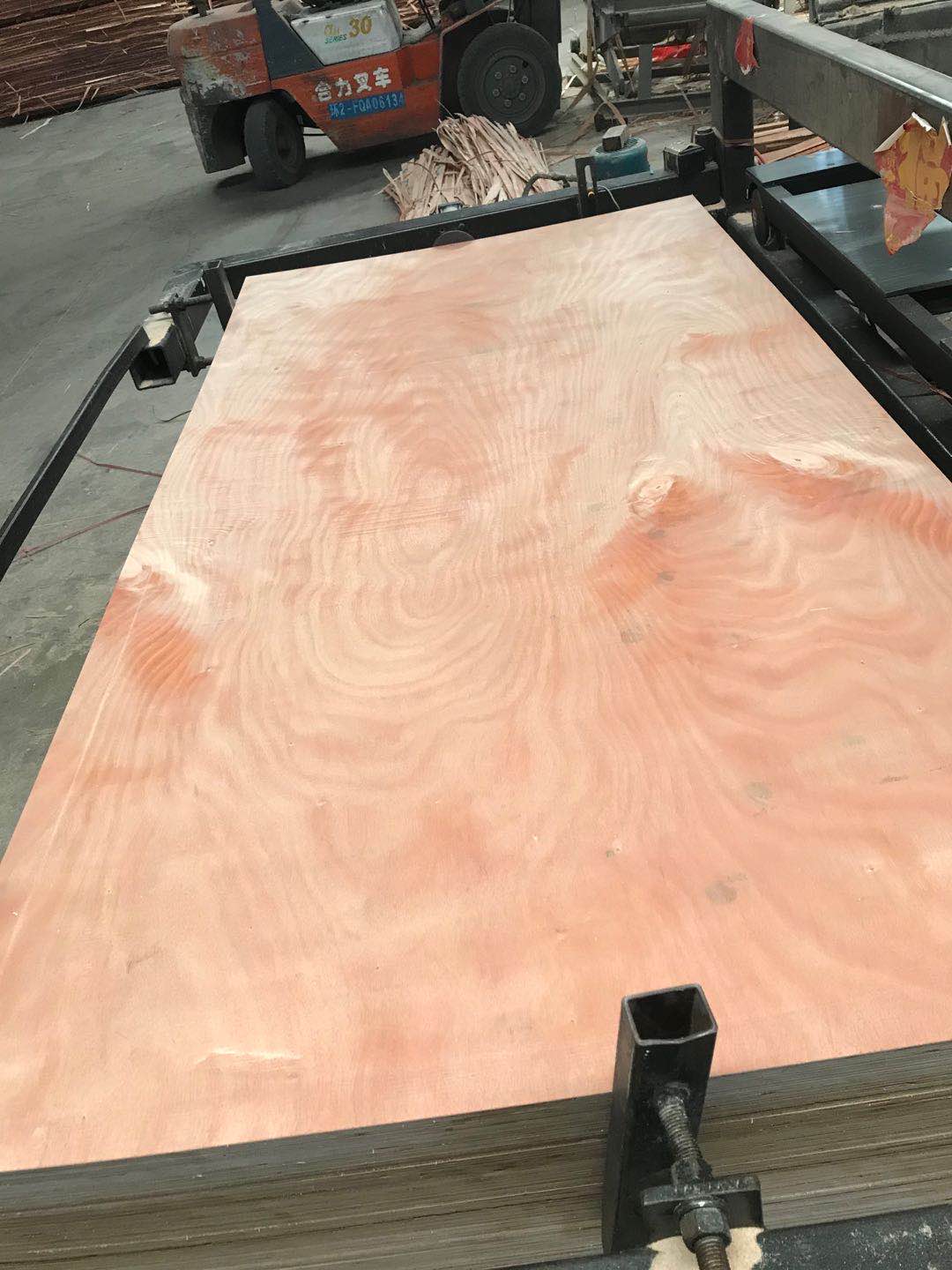 的詳細(xì)介紹