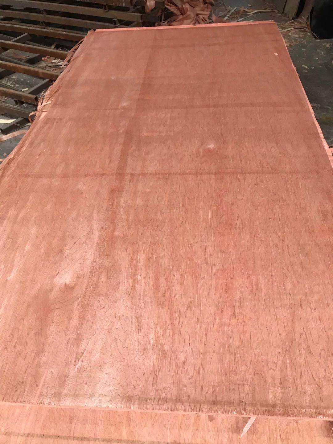 的詳細(xì)介紹