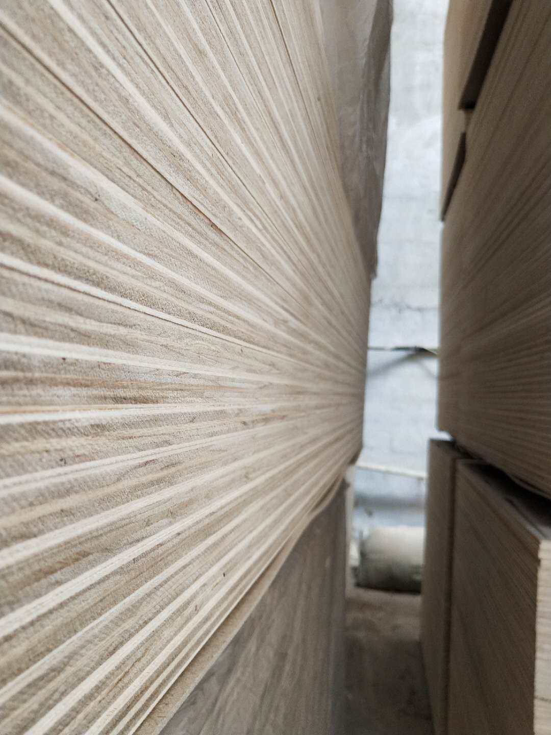 的詳細(xì)介紹