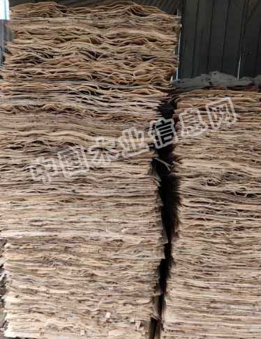 的詳細(xì)介紹