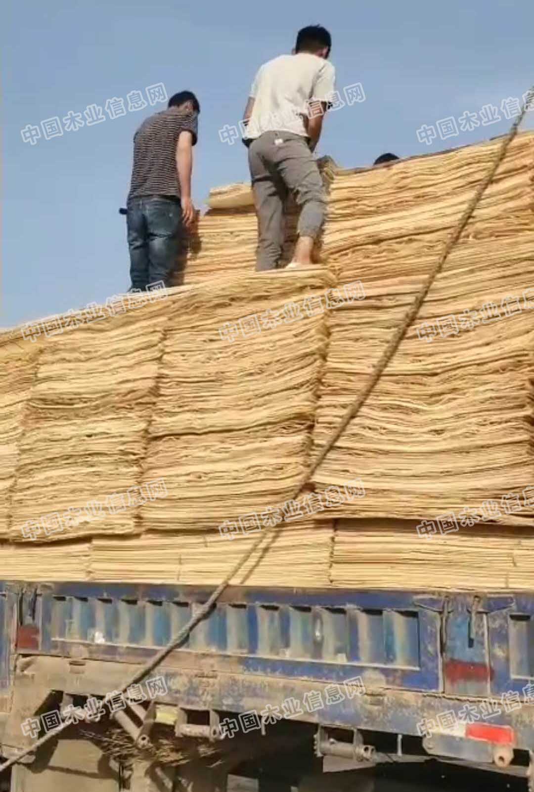 的詳細(xì)介紹