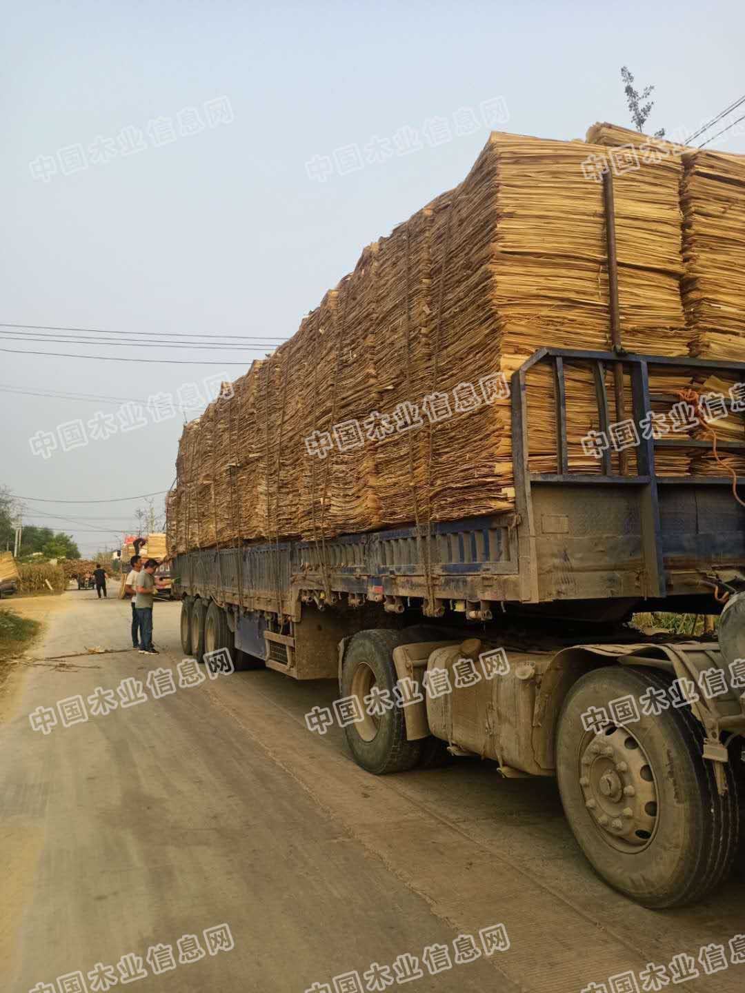 的詳細(xì)介紹