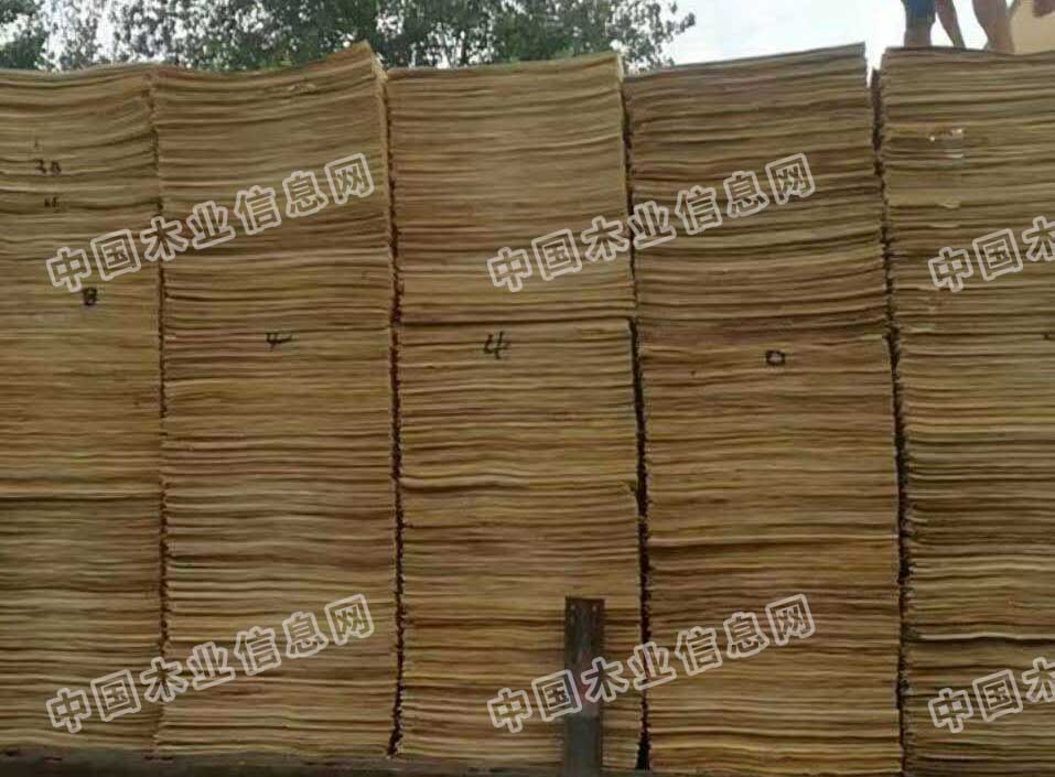 的詳細(xì)介紹