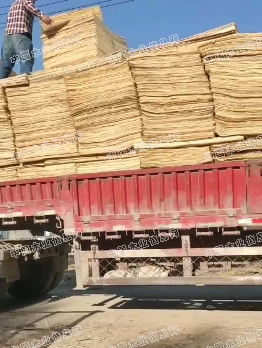 的詳細(xì)介紹