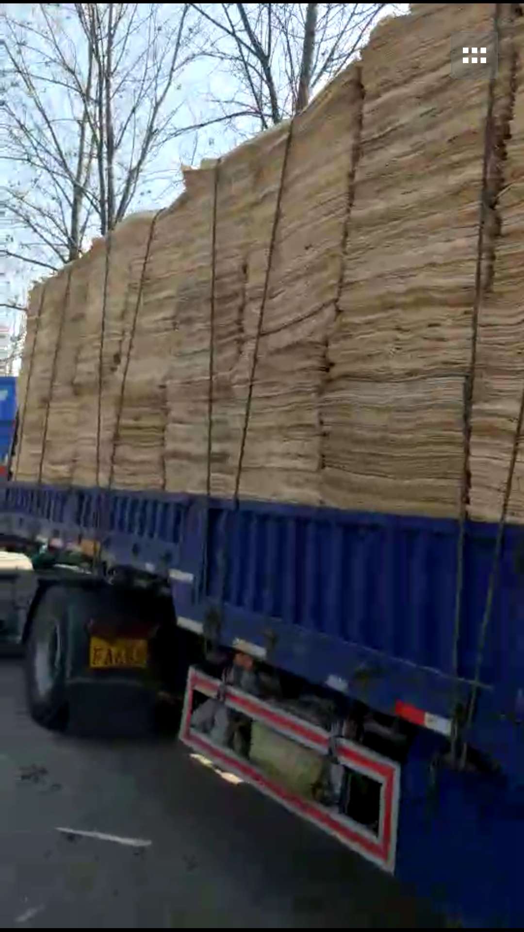 的詳細(xì)介紹