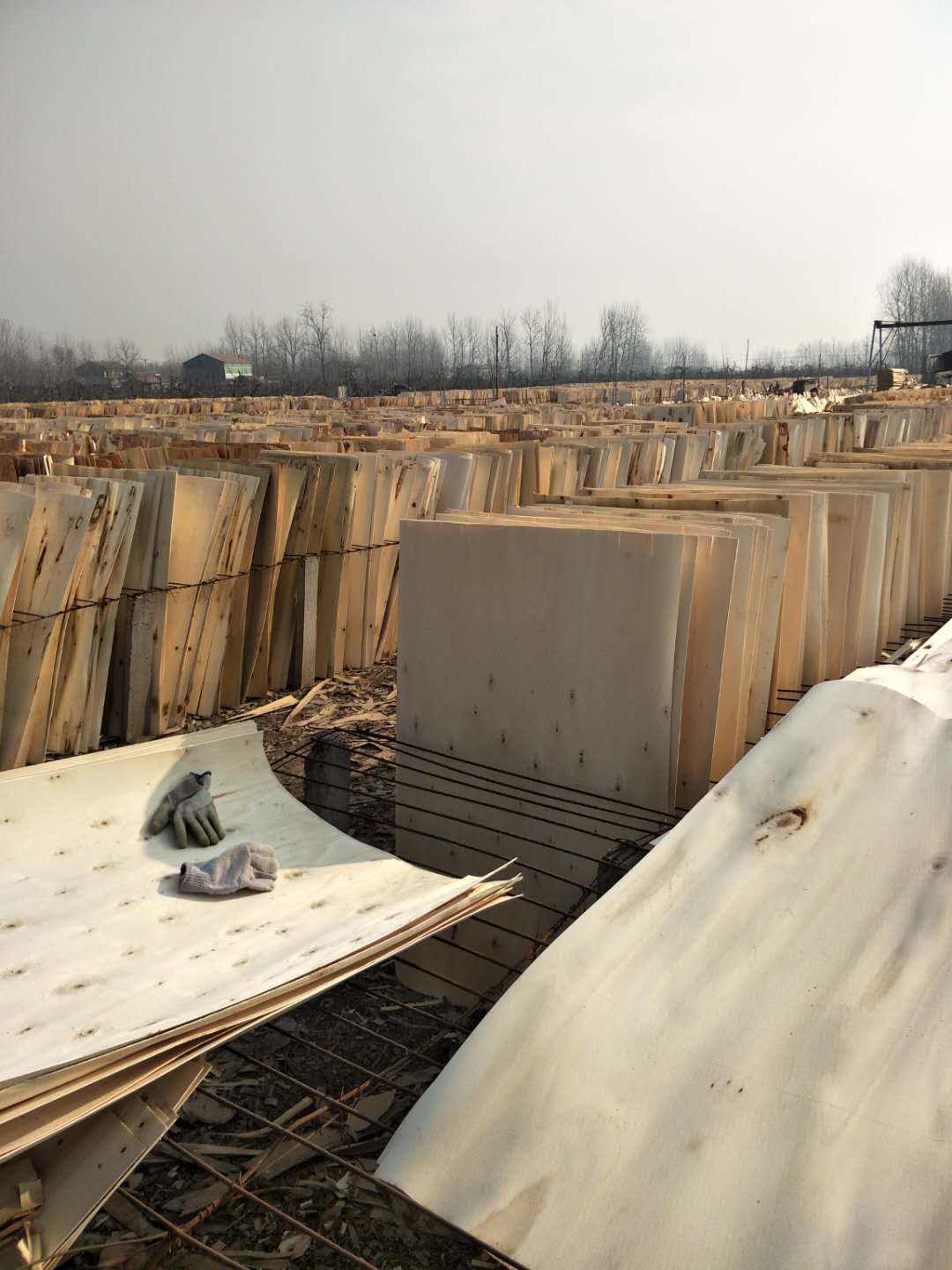 的詳細(xì)介紹