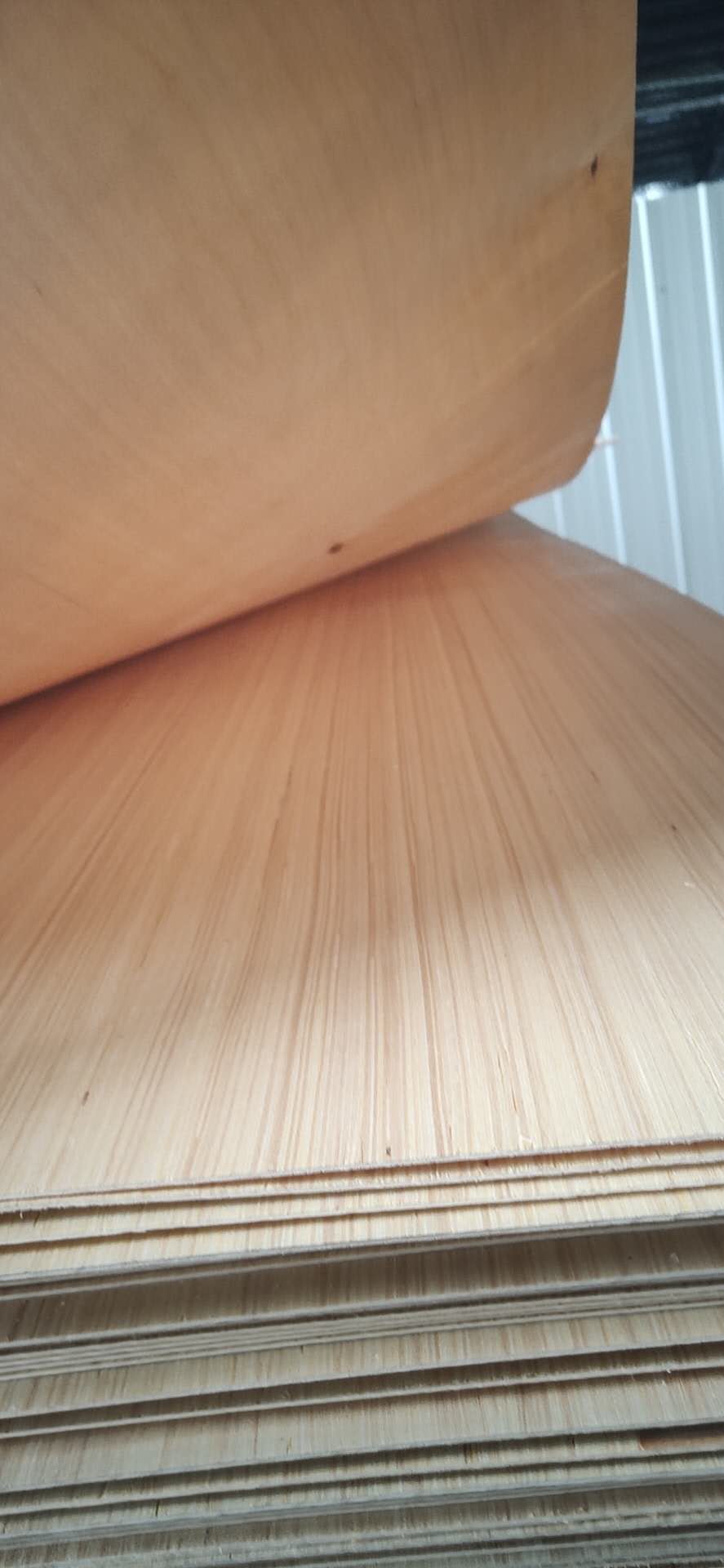 的詳細(xì)介紹