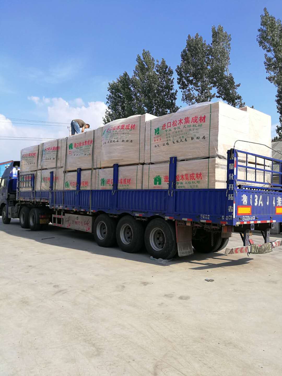 的詳細(xì)介紹