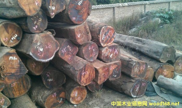 ϓկԽ^mPt֦ԭĴM