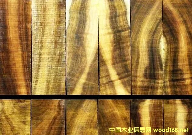 ֦ؐ˼ԭľľĘӰ廨y