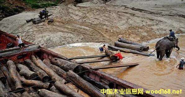 ľĳڇ(yn)صĮ(dng)ϓǷ(hu)ɞ