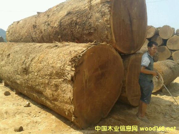 ľY(ji)(gu)-ľɏľď(qing)ȵȼ(j)u(png)