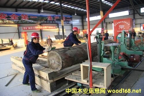 ȫľĮaIѲҕ֮---ɽ^ľĮaI