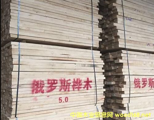 |ݸL(zhng)ľI(y)ڶ_˹O(sh)2(g)ľļӹS ӹ^(gu)10f(wn)