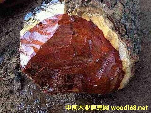 Ѫ̴ı؟ǷЇľQ̪ԳГ