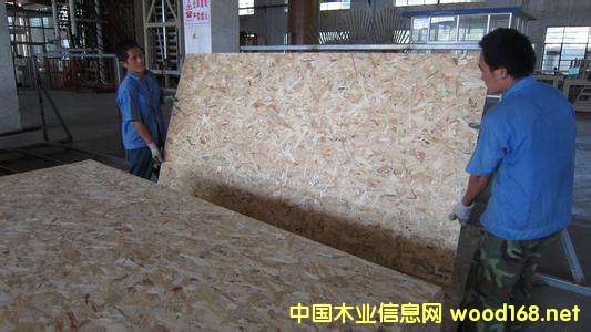 Ј{(dio)Ј棺ٻSƼҾ߿L OSB@l(f)