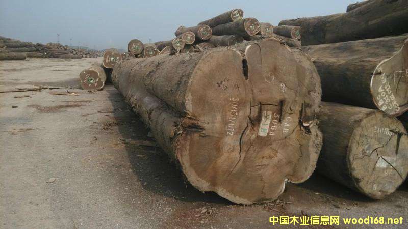 Ϳ¡ľĳڲ(do)(gu)p