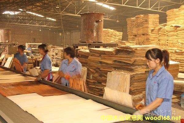 ӱİhȡPͣǧzϰI ֻʣʮҴI