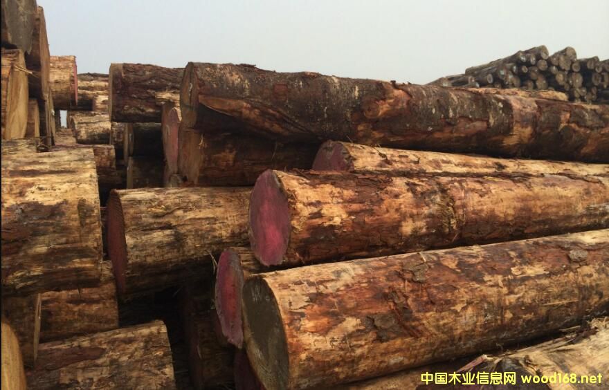 (yu)|(zh)o(w){(ln)׃ݗɎ(k)漱_(ki)؛ģʽ