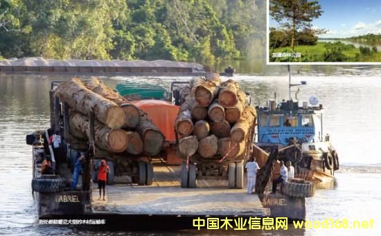 HľĮaI@Ѳҕ֮---FMCҾaNۼɢ