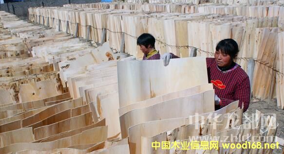 (xing)(zhn)(yu)|(zh)ƤNKɽ|յʡ