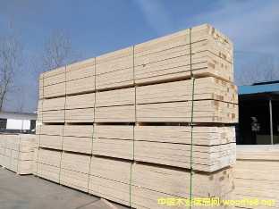 [] aN۸NҎߴLVLľ Ӱľ zľ