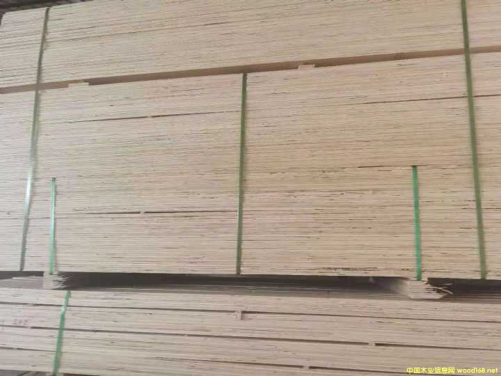 ڌѬLVLľ ѬLVLӷeĵԔB