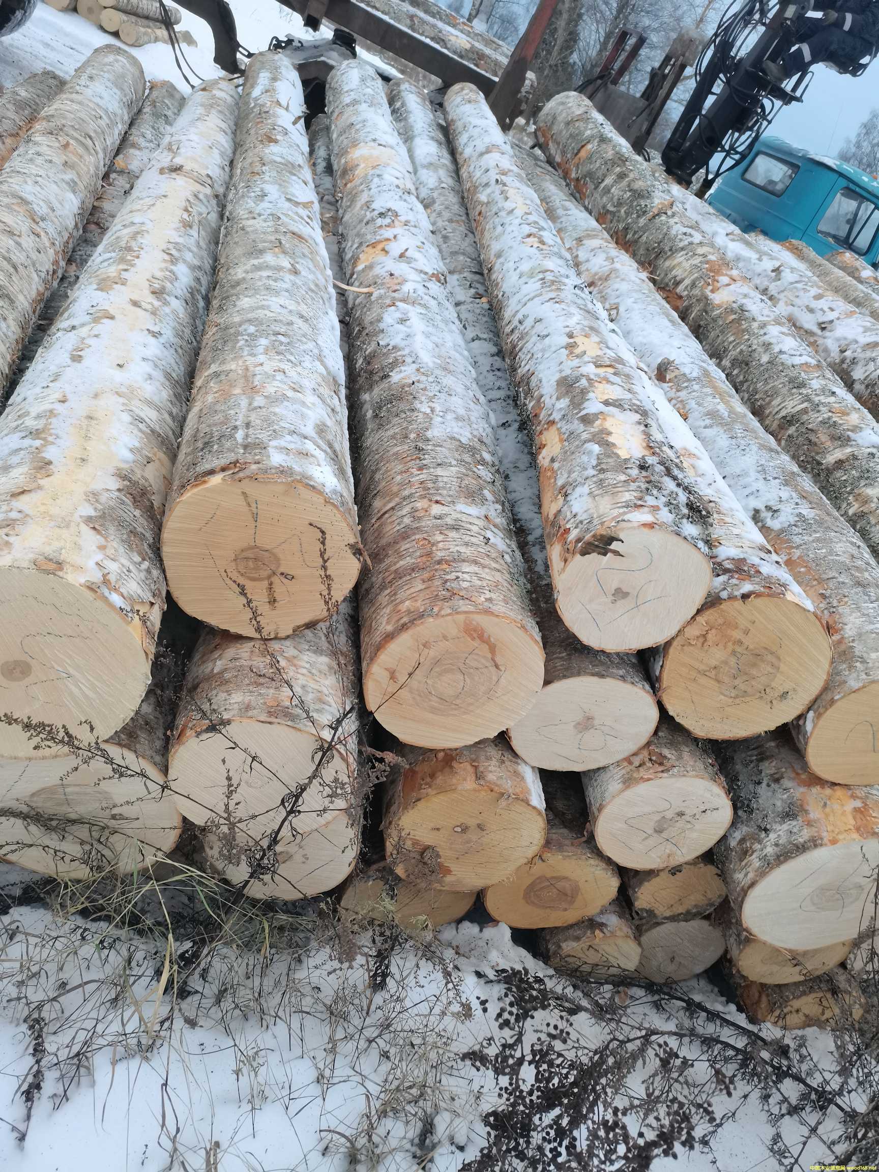 [] (yng)_˹(yu)|(zh)ľԭľ