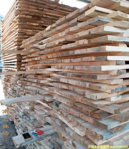 ľľl (sh)ľ ^ߵ  ¶_(ti)ʹ