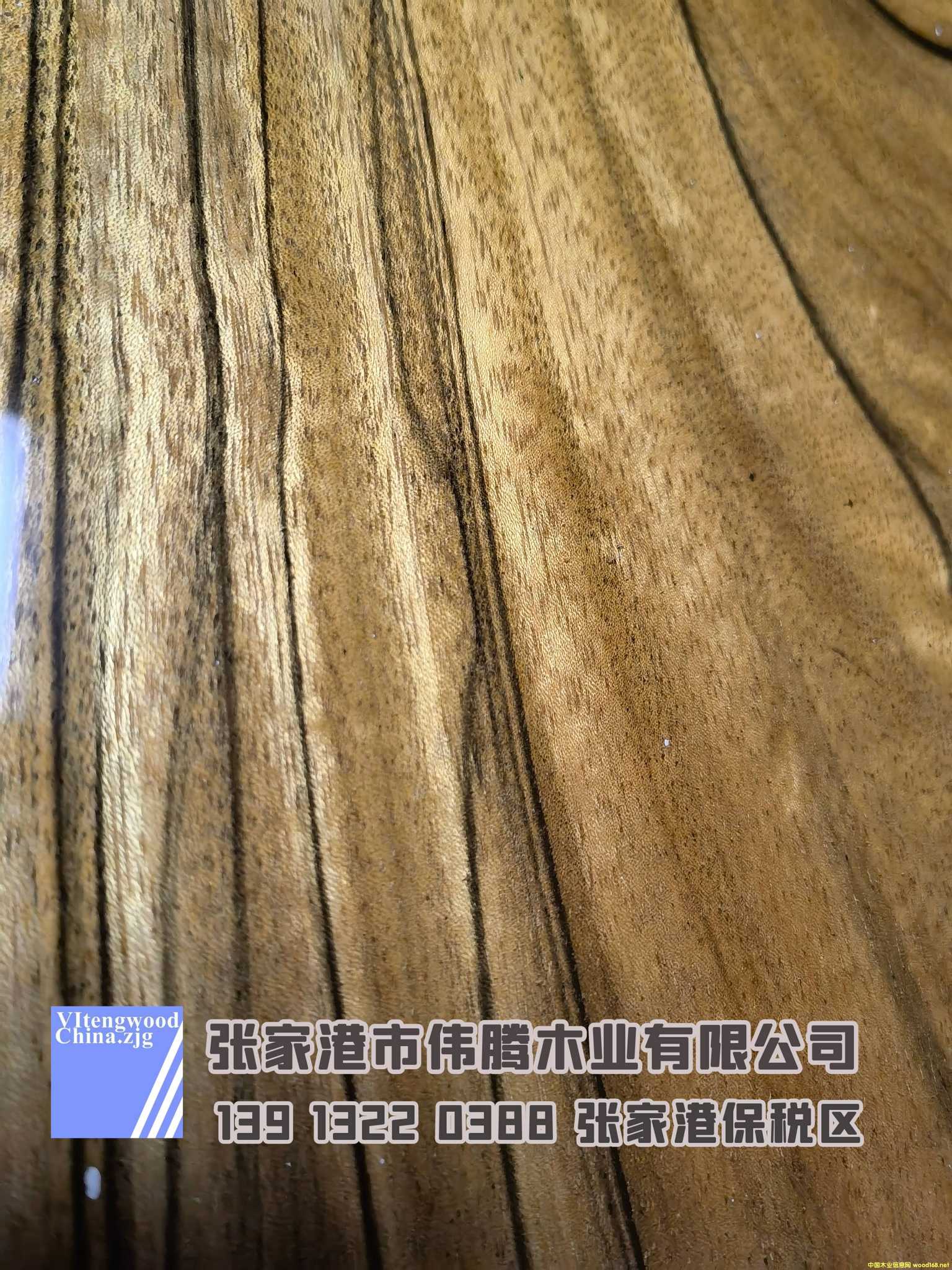 [] TB˹  zľҸۂvľI