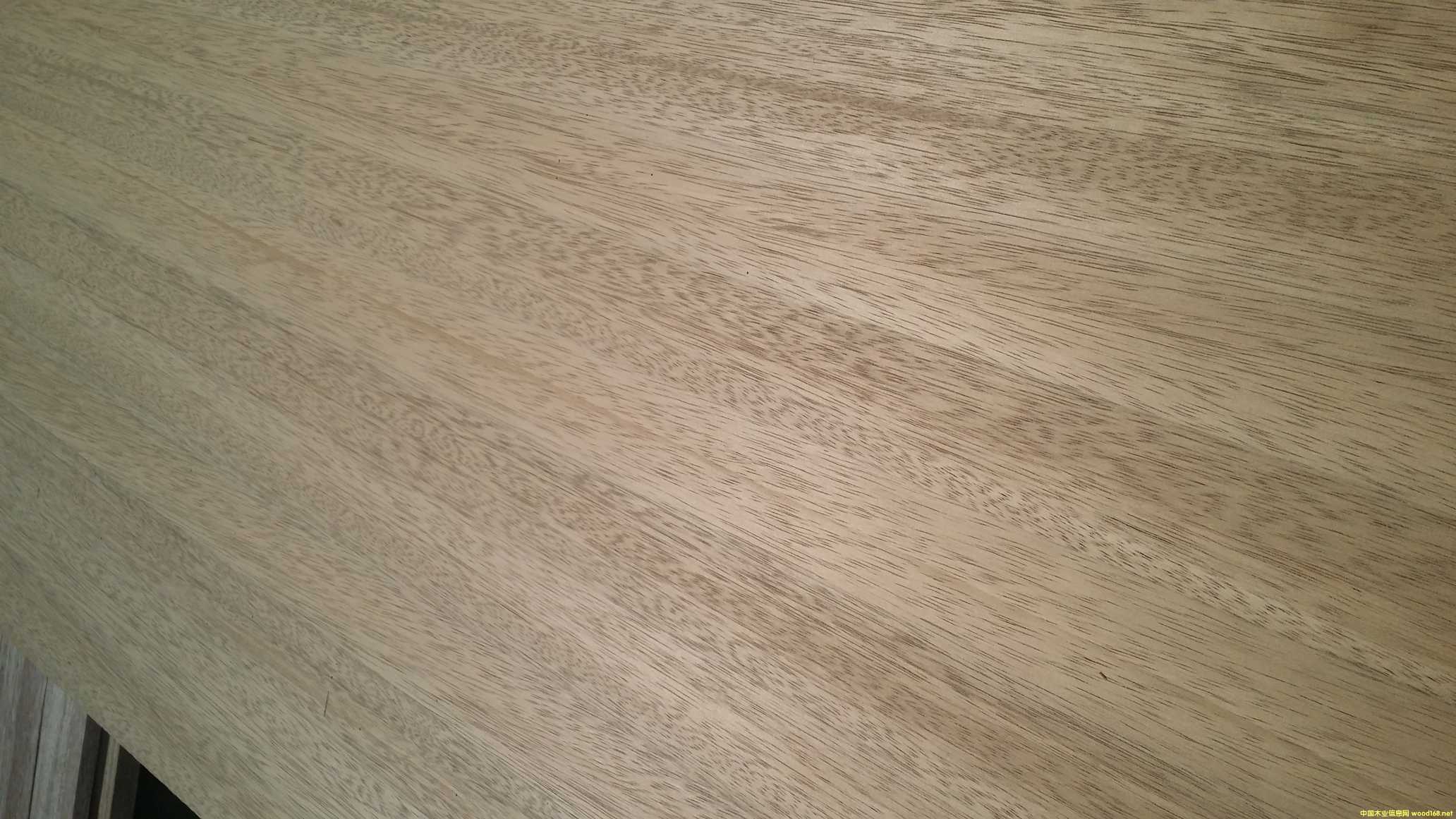 [] ںϚg יʿ˹ TBֱƴ ҸۂvľI