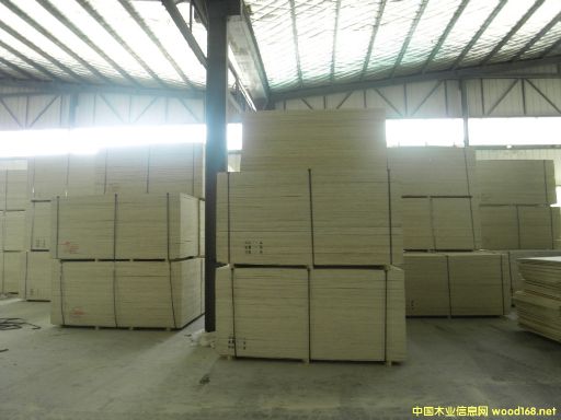 CARBP2E1E2 ľʮ ɳl(f) ɶ