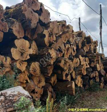 [] ľIϙľԭľČľMښW޲˰_幤ˇԭϏN߲