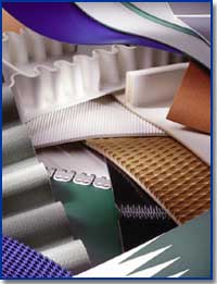 I(y)ƤɰC(j)ƤԔ(x)B