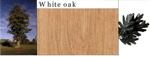 White Oak ԔB