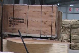 Meranti Plywood(Birch,Okoume)ԔB